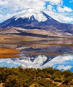 Lauca National Park paint by numbers