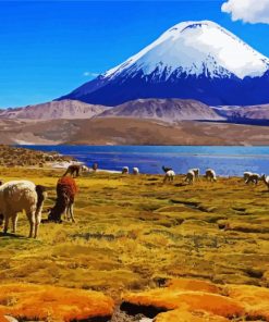 Lauca National Park Chile paint by numbers