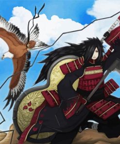 Madara And Eagle paint by numbers