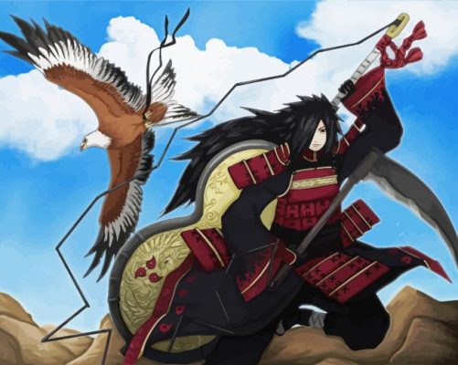 Madara And Eagle paint by numbers