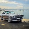 Mustang Eleanor Car paint by numbers