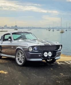 Mustang Eleanor Car paint by numbers