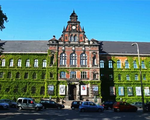 National Museum In Wroclaw paint by numbers