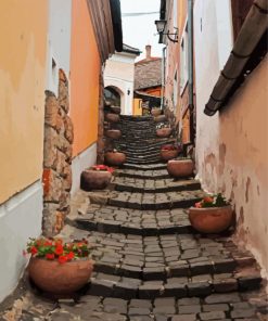 Old Stairs With Pots paint by numbers