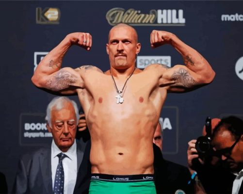 Aesthetic Oleksandr Usyk paint by numbers
