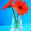 Orange Gerbera In Glass paint by numbers