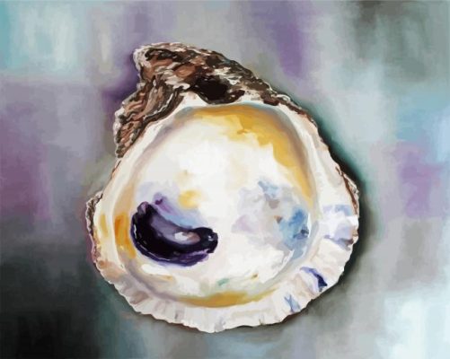 Aesthetic Oyster Shell paint by numbers