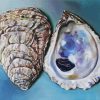 Oyster Shells paint by numbers