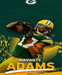 Davante Adams Poster paint by numbers