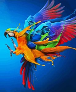 Colorful Parrot Splash paint by numbers