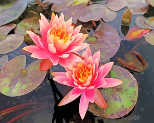 Pink Water Lilies paint by numbers