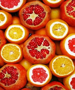 Pomegranates And Oranges Citrus paint by numbers