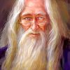 Albus Dumbledore Art paint by numbers