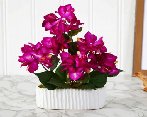 Purple Bougainvillea Vase paint by numbers