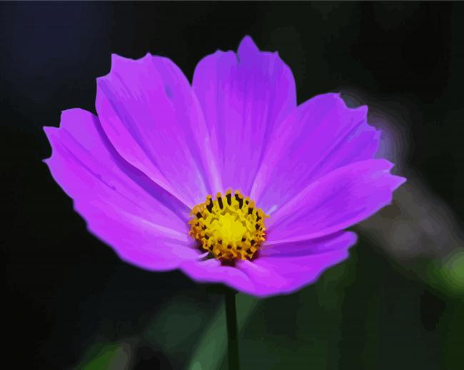 Purple Cosmos Flower paint by numbers