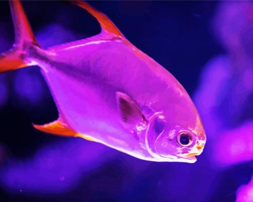 Purple Saltwater Fish paint by numbers