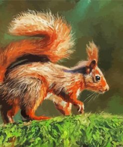 Adorable Red Squirrel paint by numbers