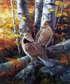 Ruffed Grouse Birds paint by numbers