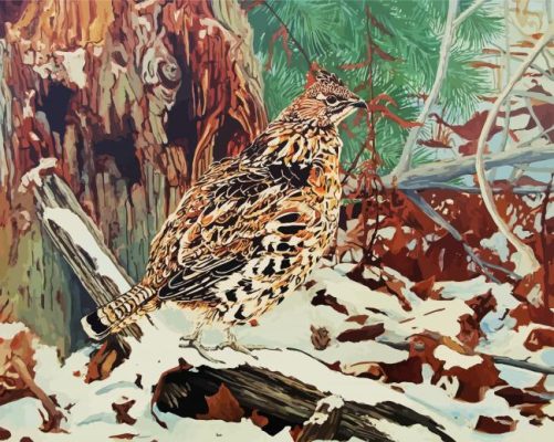 Ruffed Grouse In Snow paint by numbers