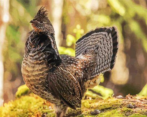 Ruffed Grouse Bird paint by numbers