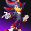 Shadow The Hedgehog paint by numbers