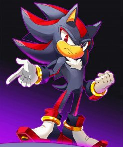 Shadow The Hedgehog paint by numbers