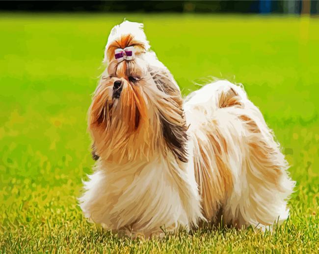 Cute Shih Tzu Puppy paint by numbers