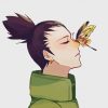 Shikamaru And Butterfly paint by numbers