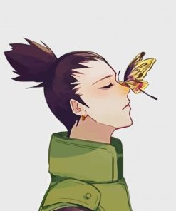 Shikamaru And Butterfly paint by numbers