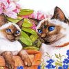 Siamese Cats And Flowers paint by numbers