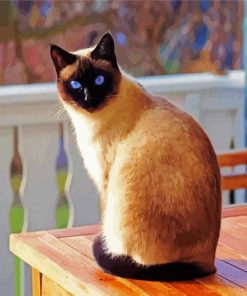 Cute Siamese Kitten paint by numbers