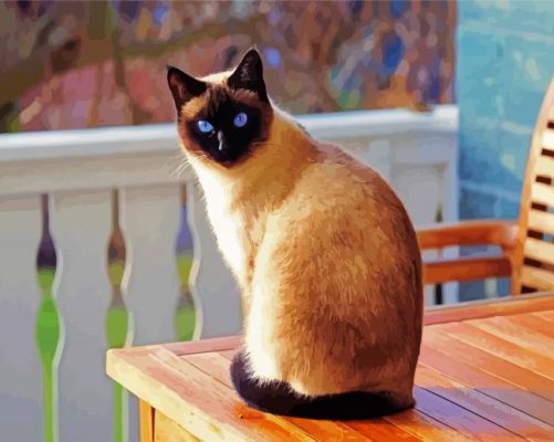 Cute Siamese Kitten paint by numbers