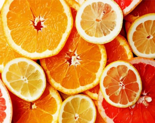 Sliced Citrus Fruits paint by numbers