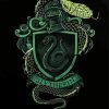 Slytherin Harry Potter paint by numbers