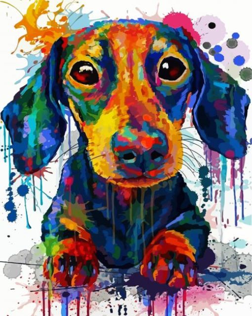 Splatter Dachshund Dog paint by numbers