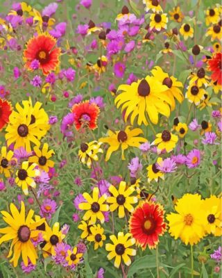 Spring Colorful Wildflower paint by numbers