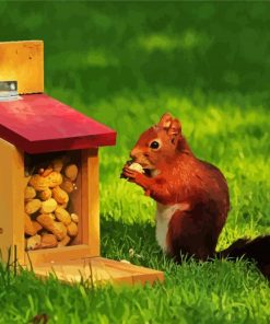 Squirrel Eating Peanuts paint by numbers