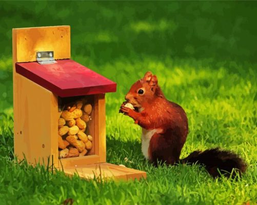 Squirrel Eating Peanuts paint by numbers
