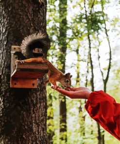 Squirrel On Tree paint by numbers