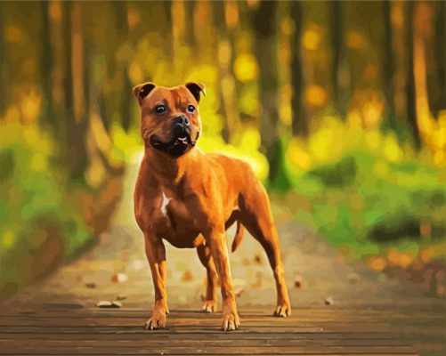 Staffordshire Bull Terrier Dog paint by numbers