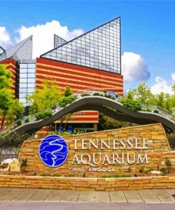 Tennessee Aquarium paint by numbers