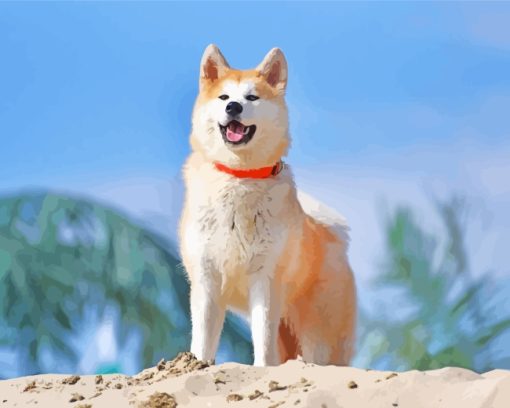 The Akita Dog paint by numbers