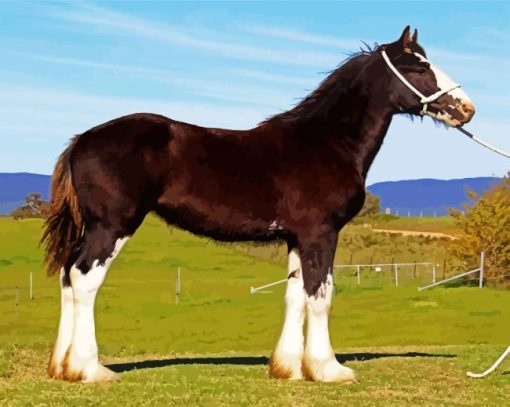 The Shire Horse Animal paint by numbers