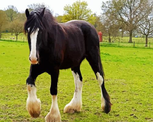 The Shire Horse paint by numbers