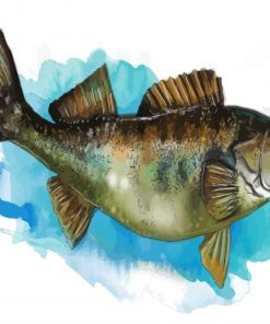 The Walleye Fish Art paint by numbers