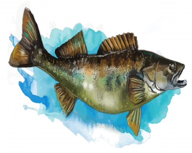 The Walleye Fish Art paint by numbers