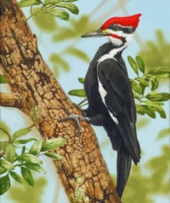 Aesthetic Woodpecker Bird paint by numbers