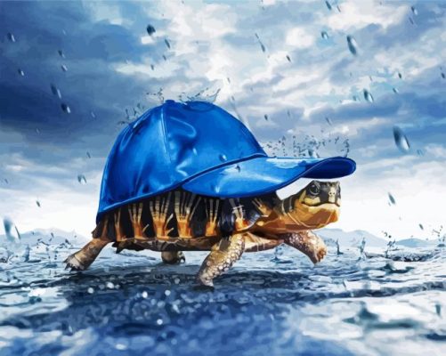 Tortoise With Hat paint by numbers