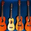 Aesthetics Ukulele Guitars paint by numbers
