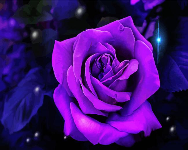 Purple Rose Flower paint by numbers